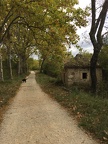 Automne à Restinclières