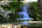 Chutes