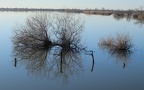 Mahistre2
