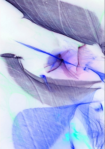abstraction 002.jpg