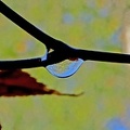 Le monde dans une goutte d'eau 4