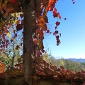 Sur le balcon