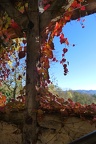 Sur le balcon