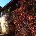 ferme dans le Lot