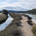 Gruissan 