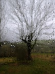 Dimanche à la campagne