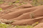 terres cuites