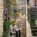 village 1