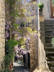 village 1