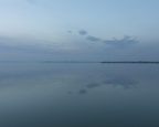 Camargue 1