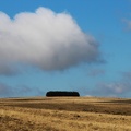 Aubrac