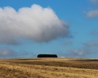 Aubrac