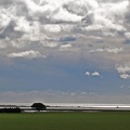 Camargue 2