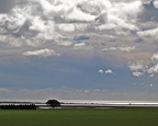Camargue 2