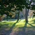 contre-jour