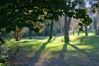 contre-jour