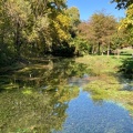 tel un Monet