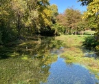 tel un Monet